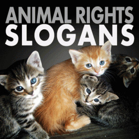 Animal Slogans and Sayings