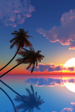 Palm-Trees-with-Sunset-in-Hawaii-620x930.jpg#Sunset%20blue%20Hawaii ...