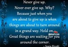 never give up quotes - Bing Images
