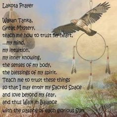 ... spirit lakota prayer american wisdom american native american indian