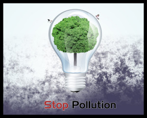 Stop Pollution