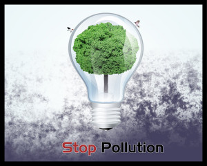 Stop Pollution