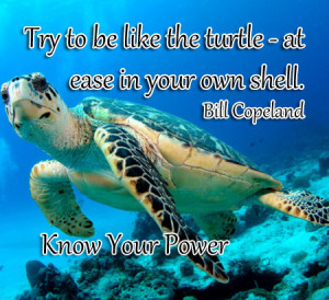 quote bill copeland quote 31 bill copeland quotes bill copeland quotes ...