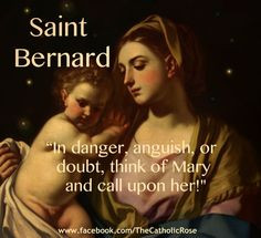 Quotes by Saints and Future Saints