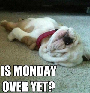 Is Monday over yet