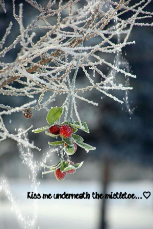 mistletoe-snow-love-pretty-quotes-quote-Favim.com-571374.jpg
