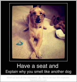 Treason is serious, you Benedict Arnold.