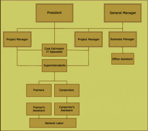 Pepsico Organizational Structure Chart