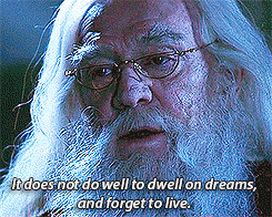 ... BEGINS : Favourite lines in Harry Potter & The Sorcerer’s Stone