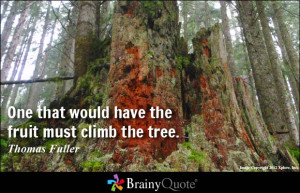 Climb Quotes