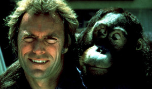 monkeys-every-which-way-but-loose-590x350.jpg