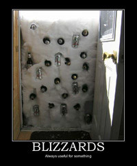 Sarcastic Motivational Poster: Blizzards