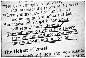 Sunday Inspiration} Renewed Strength – Isaiah 40:31