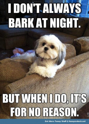 Don't Always Bark At Night