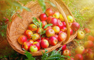 First Day Of Fall Quotes: 14 Excerpts About Autumn From Your Favorite ...