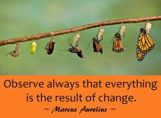 ... Quotes: If thou art pained by any external thing, it is not this that