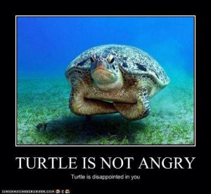 Disappointed in you turtle quote