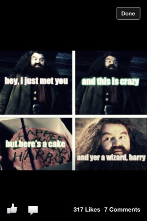 Hagrid, this is the part when hagrid tells Harry he is a wizard and ...