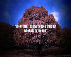 Related Pictures supplements as do many other things in life come ...