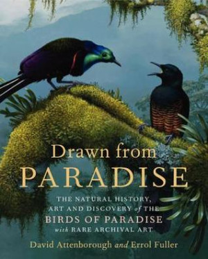 BIRDS OF PARADISE QUOTES image gallery