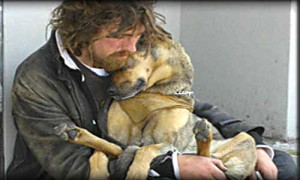 The Co-Occurrence of Homelessness in People and their Companion ...
