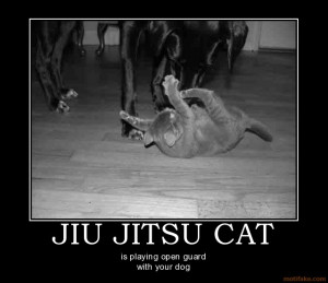 Jiu Jitsu (Not so true) Facts