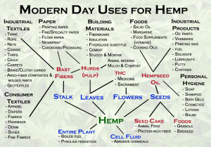Of all the nations on Earth whose economy should center on hemp, the U ...