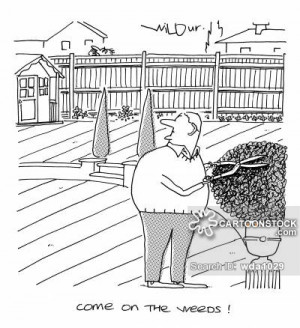 low-maintenance garden cartoons, low-maintenance garden cartoon, low ...