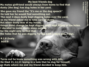 Miss My Dog Quotes