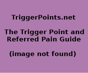 robert heinlein quotes love , beehive pattern vector , biceps brachii ...