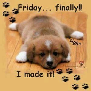 Friday Finally quotes quote friday happy friday tgif days of the week ...