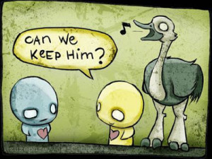 52 'Pon And Zi' Ubber Cute Comics