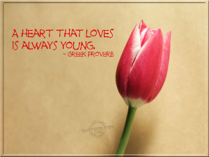 love quotes tulips wallpapers Wallpaper