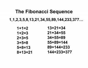 The Fibonacci Sequence