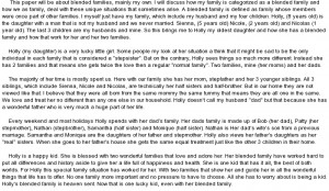 essay on Blended Families