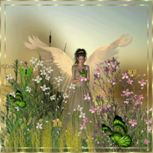 Angel Of Nature - angels Photo