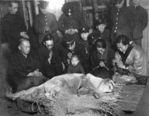 Hachiko, the dog who waited for 9 years