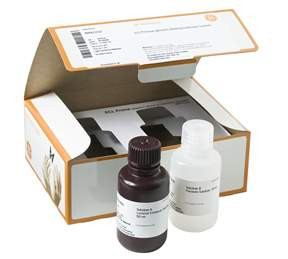 GE Healthcare Amersham ECL Prime Western Blotting Detection