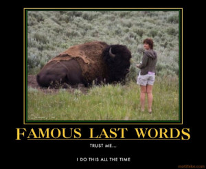 Labels: Demotivational Posters Funny Animals , Funny Pictures of ...