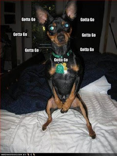 Funny Image Collection