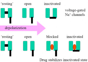 ion gated channels