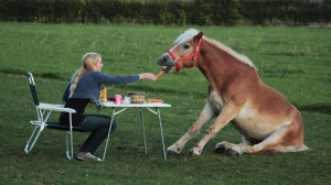 NienkevdWerf Funnyhorse Angelo 150x150 Photo Contest: Diner for Two
