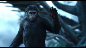 DAWN-OF-THE-APES action drama sci-Fi dawn planet apes monkey adventure ...