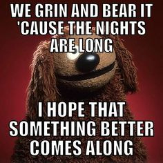 Quote from Rowlf from my favorite Muppet song. 