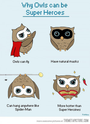 funny owls talking eyes