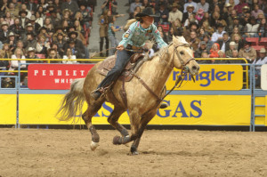 sherry cervi barrel racing