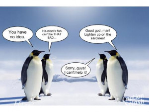 penguin funny Captions pic, penguin funny with Captions, funny penguin ...