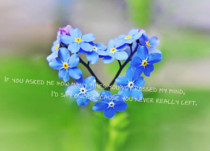 picture-of-little-blue-flowers-with-quote-about-loving-husband-quotes ...