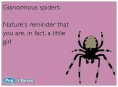hate spiders.....and Isaac hates them as much as I do... Lol!! You ...