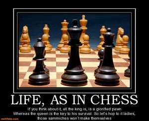 life-as-in-chess-chess-game-wife-food-hurt-demotivational-posters ...